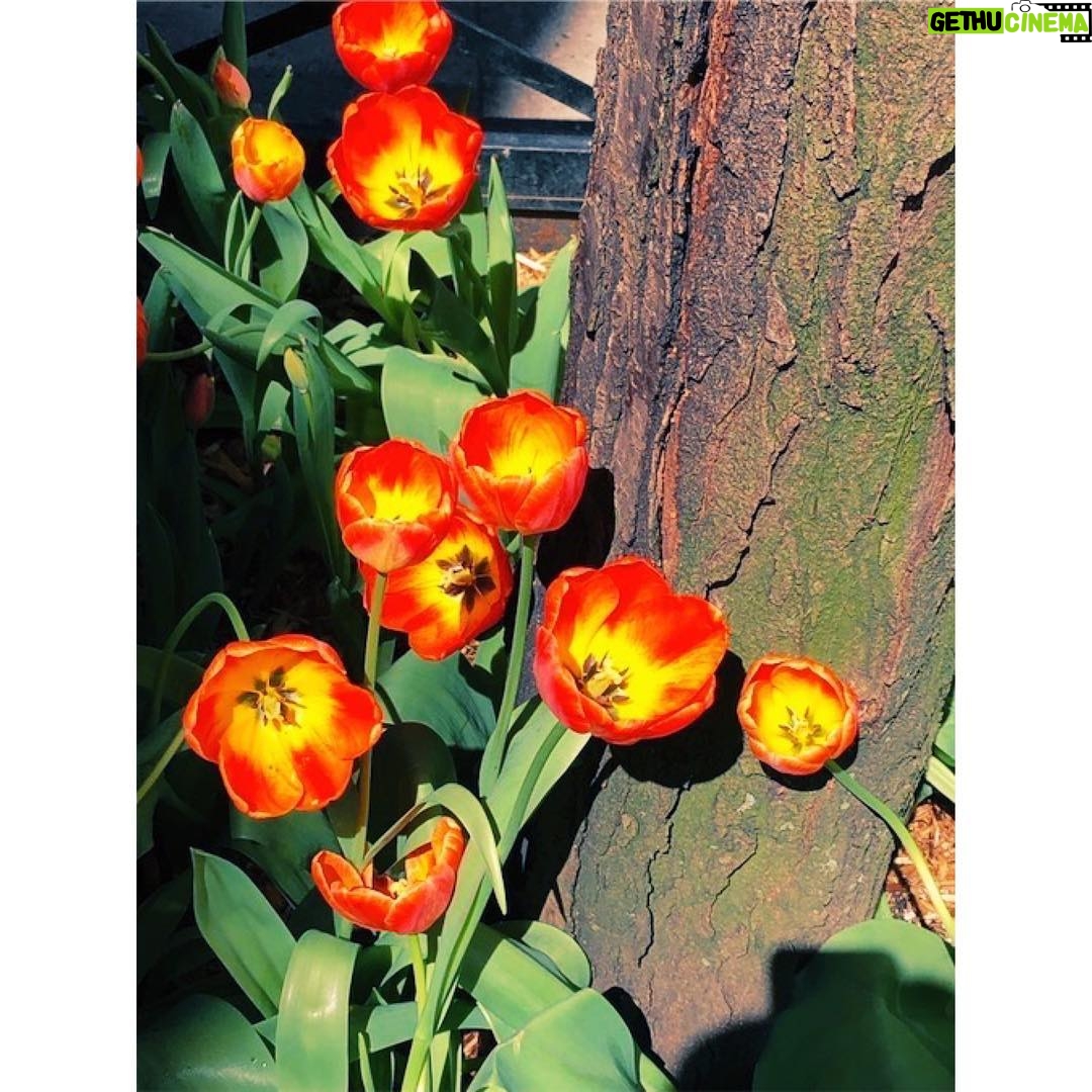 Susan Sarandon Instagram - It’s a beautiful day in the neighborhood.