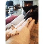 Susan Sarandon Instagram - Cozy.