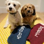 Sutton Foster Instagram - It may not be sweater weather anymore, but that doesn’t mean we can’t give some love to the amazing Heidi! Order your sweaters now for when it gets chilly again!! Heidi K. Fine Knitwear fur Pets Insta: @heidikknitwear4pets HeidiK311@gmail.com #heidikknitwearforpets #knitwearforpets #petsweaters #dogsweaters #dogclothes