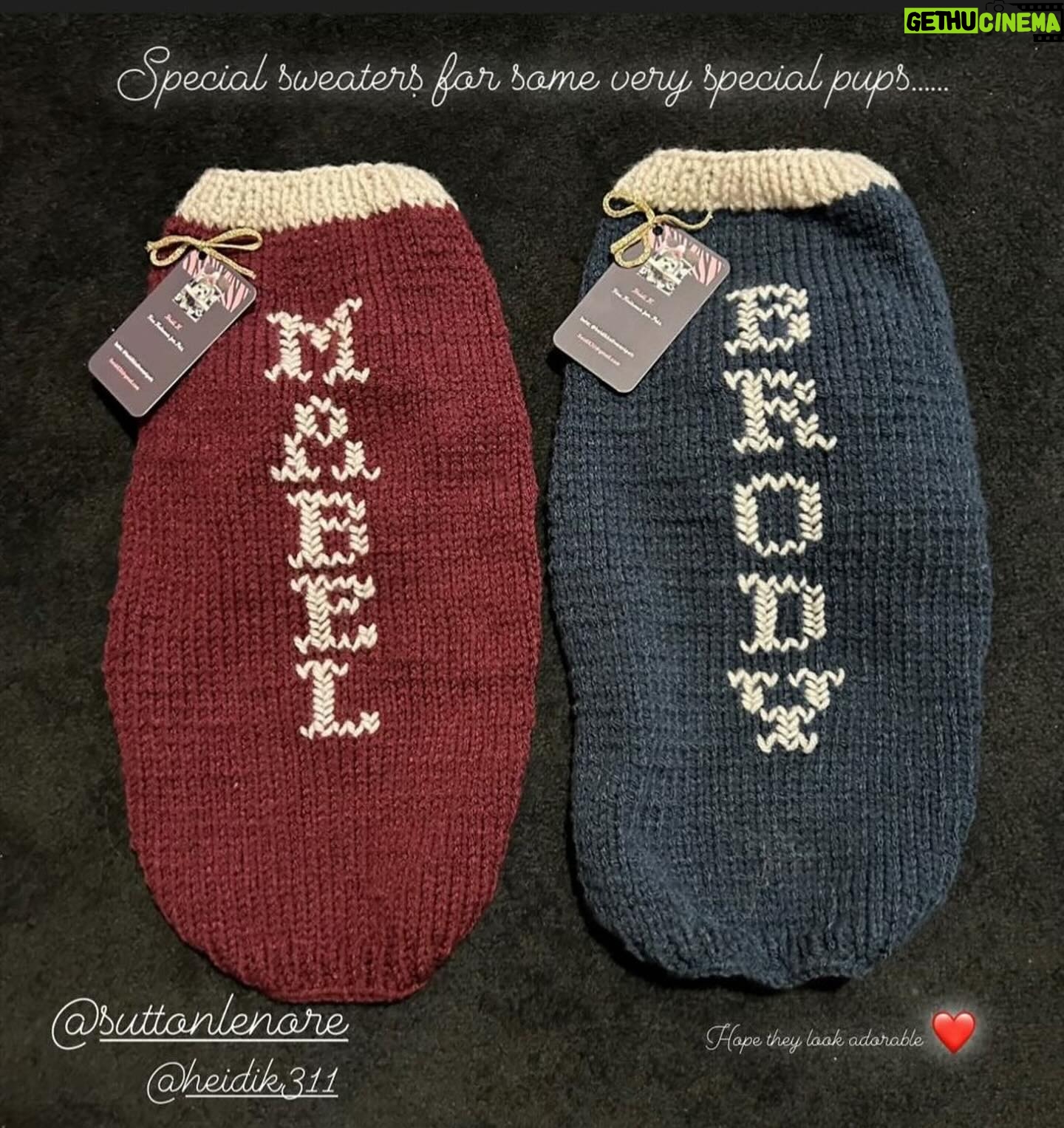 Sutton Foster Instagram - It may not be sweater weather anymore, but that doesn’t mean we can’t give some love to the amazing Heidi! Order your sweaters now for when it gets chilly again!! Heidi K. Fine Knitwear fur Pets Insta: @heidikknitwear4pets HeidiK311@gmail.com #heidikknitwearforpets #knitwearforpets #petsweaters #dogsweaters #dogclothes
