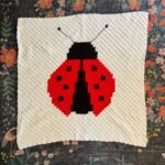 Sutton Foster Instagram - A lady bug for a Lydia Bug! Pattern by ME! #craftingsavedmylife #crochet
