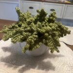 Sutton Foster Instagram - Can’t stop, won’t stop! Another crocheted house plant! ❤️ 🧶=🪴! I used Lion Brand yarn! Pattern by Emma Varnam! @lionbrandyarn @emmavarnam #crochet #crochetersofinstagram #crochetaddict #crochetlove #crocheteveryday