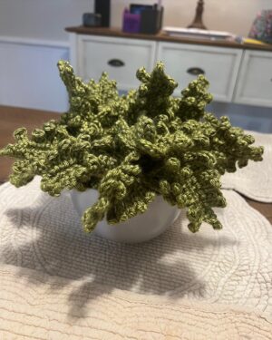 Sutton Foster Instagram - Can’t stop, won’t stop! Another crocheted house plant!

❤️  🧶=🪴!

I used Lion Brand yarn! 
Pattern by Emma Varnam!

@lionbrandyarn 
@emmavarnam 

#crochet #crochetersofinstagram #crochetaddict #crochetlove #crocheteveryday