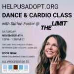 Sutton Foster Instagram - Look! It’s a Sutton Foster Dance Cardio Fundraiser for HELPUSADOPT.ORG at @TheLimitFit in Chelsea! • SATURDAY, NOV 4TH • 12PM - 1:30PM ET THE LIMIT NYC CHELSEA STUDIO • IN-PERSON (LIMITED) — $49 • ZOOM — $30 Book now: www.thelimitfit.com/classes All proceeds go to HELPUSADOPT.ORG #thelimitfit #helpusadopt #dancecardio #fundraiser #adoption #fitness #suttonfoster