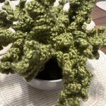 Sutton Foster Instagram - Can’t stop, won’t stop! Another crocheted house plant! ❤️ 🧶=🪴! I used Lion Brand yarn! Pattern by Emma Varnam! @lionbrandyarn @emmavarnam #crochet #crochetersofinstagram #crochetaddict #crochetlove #crocheteveryday