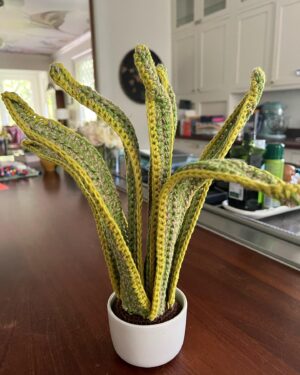 Sutton Foster Instagram - A special crocheted house plant for the one and only Julien Havard!

❤️  🧶=🪴!

I used Lion Brand yarn! 
Pattern by Emma Varnam!

@wantsomejulien 
@lionbrandyarn 
@emmavarnam 

#crochet #crochetersofinstagram #crochetaddict #crochetlove #crocheteveryday