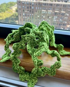 Sutton Foster Instagram - Ok. The last one… for now… ❤️ 🧶=🪴! I used Lion Brand yarn! Pattern by Emma Varnam! @lionbrandyarn @emmavarnam #crochet #crochetersofinstagram #crochetaddict #crochetlove #crocheteveryday
