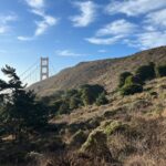 Sutton Foster Instagram - A beautiful morning in San Francisco. #sanfrancisco