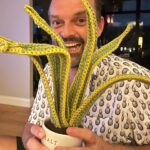 Sutton Foster Instagram - A special crocheted house plant for the one and only Julien Havard! ❤️ 🧶=🪴! I used Lion Brand yarn! Pattern by Emma Varnam! @wantsomejulien @lionbrandyarn @emmavarnam #crochet #crochetersofinstagram #crochetaddict #crochetlove #crocheteveryday
