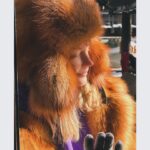 Svetlana Khodchenkova Instagram - 🧡