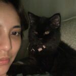 Sweet Qismina Instagram – Lisa kesayangan kakak, I have never met a cat like you 🖤

Bila malam nak tidur kena hisap jari, 
Bila malam nak tidur duduk atas muka,
Bila malam bising cari kita macam kita la Ibu dia. 
Bila dah besar dari jauh panggil mesti terus lari datang ke kita. 
Bila sakit tak pernah pun dengar suara, diam je.
Bila nak sayang selalu pandang atas nak laga hidung.
People called you hitam, tak lawa, but you are the prettiest and youngest princess in our family 👸🏻
Lisa, tak sangka in just less than 2 years kita kenal, Allah amik awak hari ni. Baru semalam kakak hug awak. Baru semalam kakak kiss awak. Baru semalam kakak menari dengan awak. Rindu tu menyakitkan. Jaga diri adik kakak. Kakak sayang awak.
January 2022 – September 2023 🐱🖤