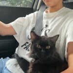 Sweet Qismina Instagram – Lisa kesayangan kakak, I have never met a cat like you 🖤

Bila malam nak tidur kena hisap jari, 
Bila malam nak tidur duduk atas muka,
Bila malam bising cari kita macam kita la Ibu dia. 
Bila dah besar dari jauh panggil mesti terus lari datang ke kita. 
Bila sakit tak pernah pun dengar suara, diam je.
Bila nak sayang selalu pandang atas nak laga hidung.
People called you hitam, tak lawa, but you are the prettiest and youngest princess in our family 👸🏻
Lisa, tak sangka in just less than 2 years kita kenal, Allah amik awak hari ni. Baru semalam kakak hug awak. Baru semalam kakak kiss awak. Baru semalam kakak menari dengan awak. Rindu tu menyakitkan. Jaga diri adik kakak. Kakak sayang awak.
January 2022 – September 2023 🐱🖤