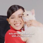 Sweet Qismina Instagram – Lepas 21 hari, pasti nampak perbezaannya. Berikan si comel anda makanan yang dirumus khas dari Royal Canin 🐱❤️

#RoyalCaninMalaysia #RoyalCaninHairandSkin #FelineCareNutrition