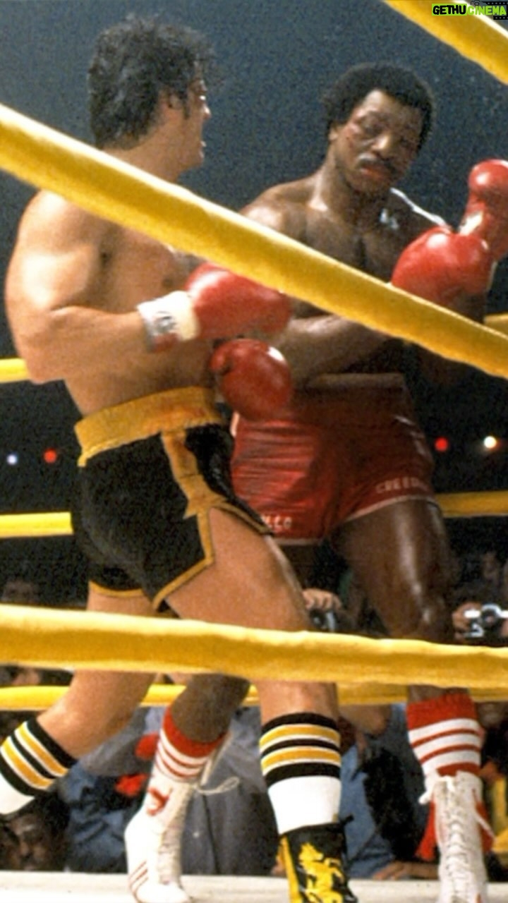 Sylvester Stallone Instagram - Now you know the real reason Rocky went from fighting left to right handed. Just like in life, we don’t stop. We don’t quit. We just keep going. We keep punching! 🥊 Tune in tonight at 8pm est to watch my interview with my buddy Arnold and TMZ on Fox.