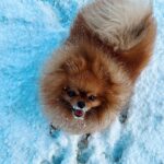 Sylwia Lipka Instagram - jak spędzacie święta? ❄️💖