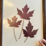 Türkan Şoray Instagram - Kış gelirken dallarda kalan son bir kaç yaprağı kuruttum🍁çerçevelettim. Ben çok sevdim 🤎