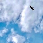 Türkan Şoray Instagram - Kandilimiz mübarek olsun . Kaybettiğimiz depremzedelerimiz nurlar içinde yatsınlar 🙏🏼💐