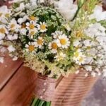 Türkan Şoray Instagram – Tüm annelerin “Anneler Günü Kutlu Olsun” 💕