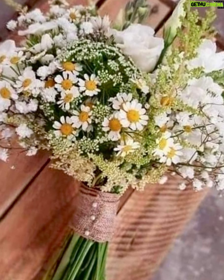 Türkan Şoray Instagram - Tüm annelerin “Anneler Günü Kutlu Olsun” 💕
