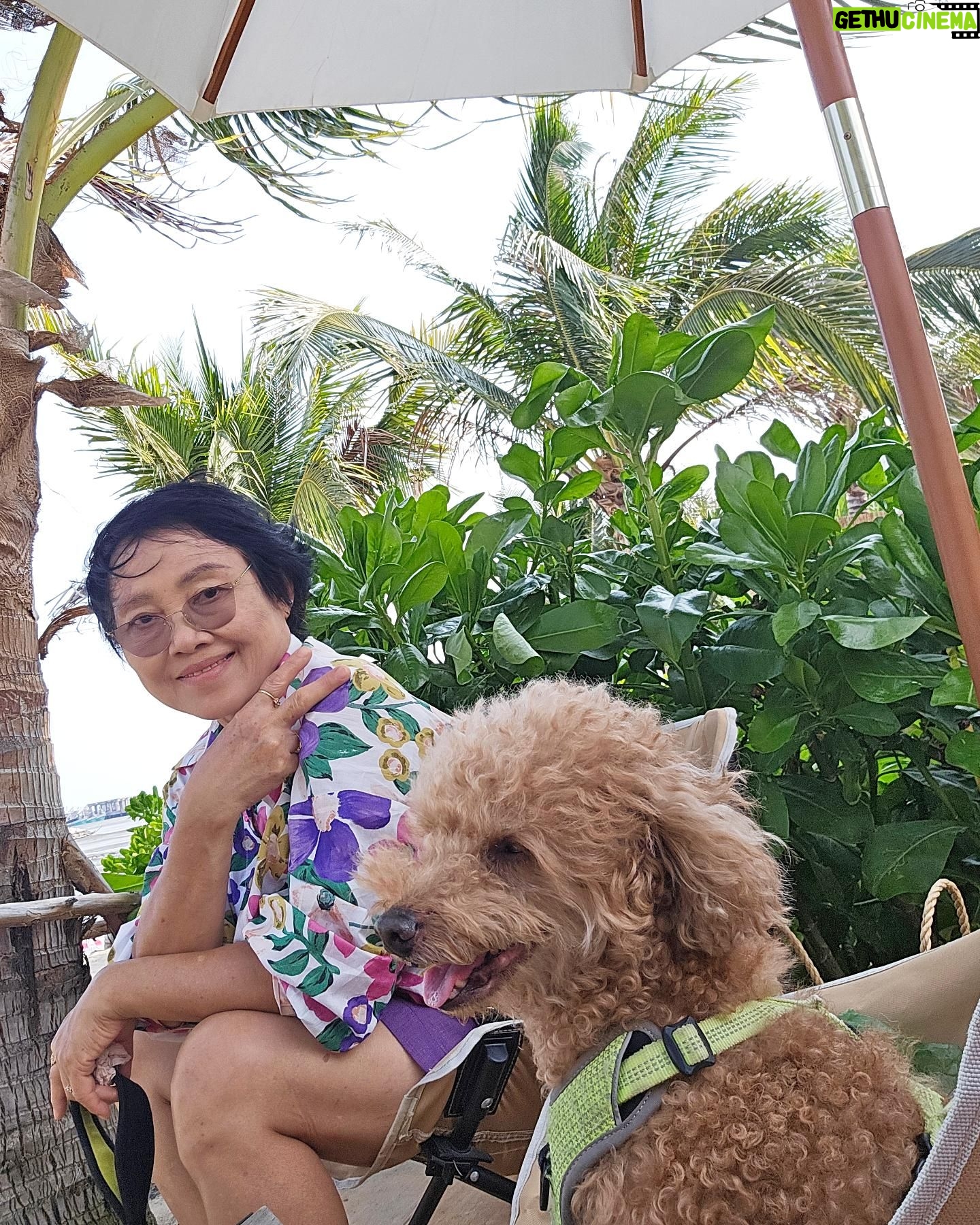 Tachakorn Boonlupyanun Instagram - อยากไปเที่ยว 👧👵🐶💦❤️