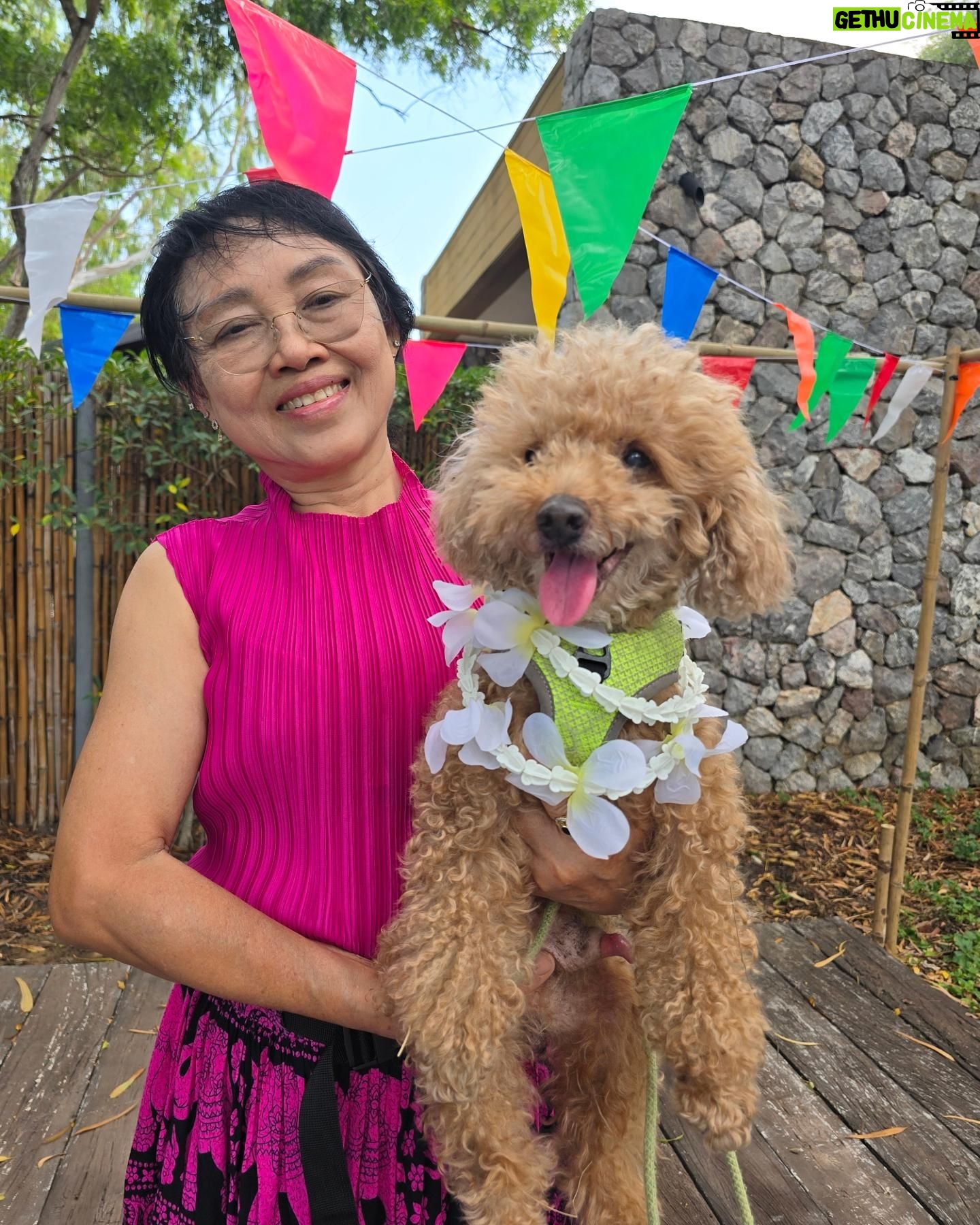 Tachakorn Boonlupyanun Instagram - อยากไปเที่ยว 👧👵🐶💦❤️