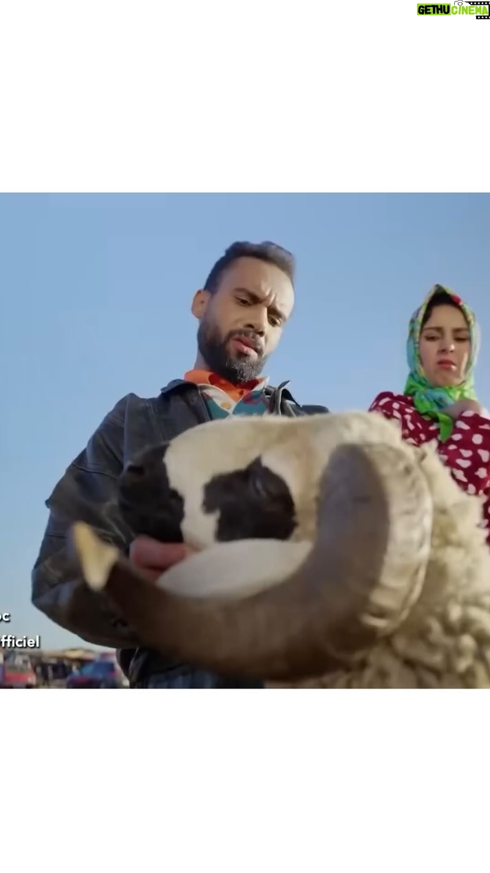 Taliss - 30.4K Likes - مع الآسف حنا هما الضحايا😞 الحرارة وصلات حتى للأسعار ا🔥ا
عيدكم مبارك سعيد ا🐏ا
@fadoua.taleb