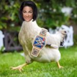 Tamina Instagram – I just want to take this time and thank The Southern Belle @laceyevanswwe for her help last night on #smackdownlive🔵 and putting that chicken in her place, and no I’m not talking about Sassy, but that conniving cheating coward @itsmebayley 🐔 Much Thanks🤙🏽👊🏽🙏🏽 #LimitlessLady #SASSY