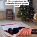 Tammin Sursok Instagram – Am I right or am I right 😂 Merry Christmas. #funnyvideos #christmas