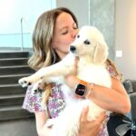 Tammin Sursok Instagram - Stranger danger with Sadie isn’t going well. 🤣 Let me know if you want more Sadie content! 💕 #goldenretriever #puppies #animals #puppylove