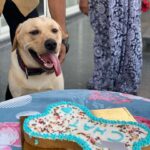 Tanmay Bhat Instagram - Dog birthday party > human birthday party
