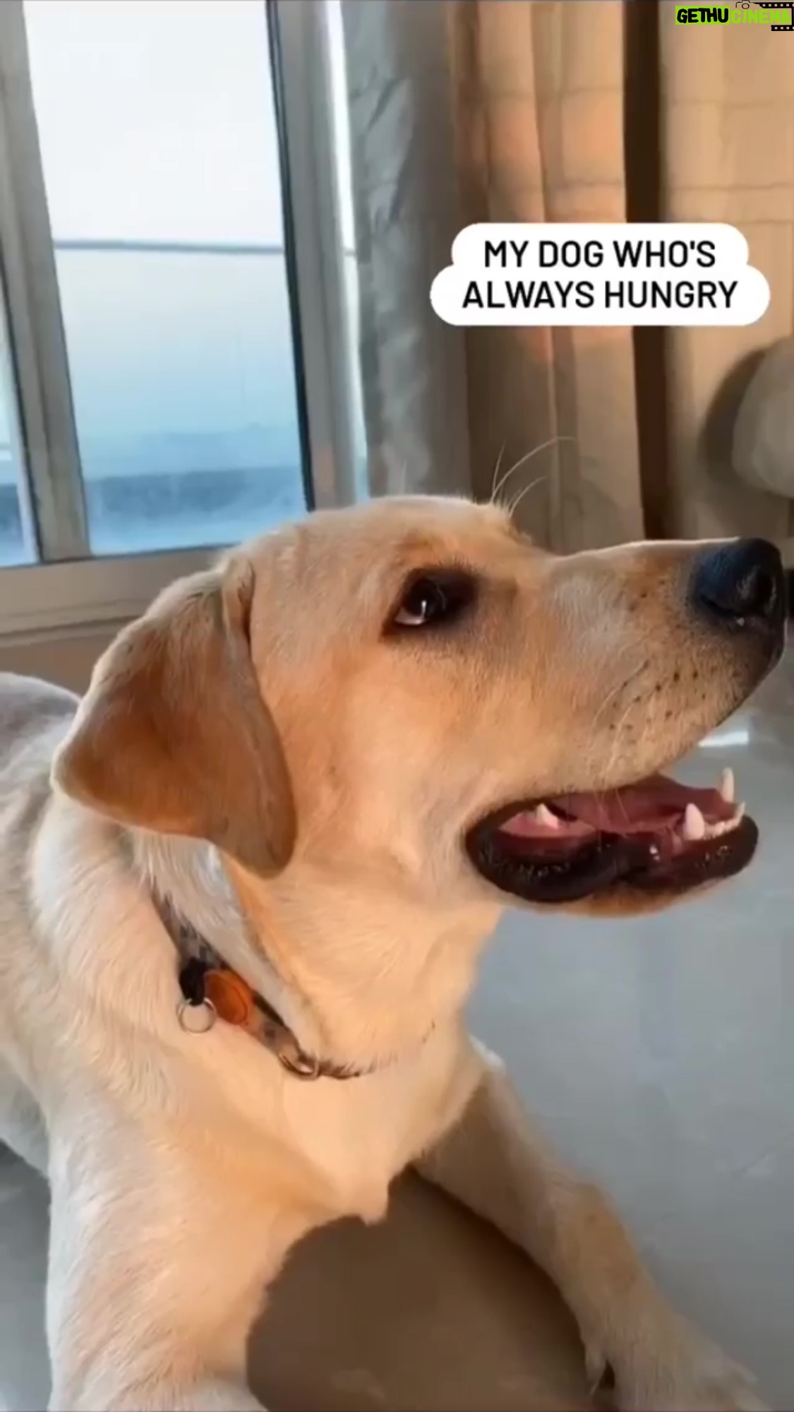 Tanmay Bhat Instagram - Mele babu ne biryani thaya
