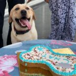 Tanmay Bhat Instagram - Dog birthday party > human birthday party