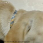 Tanmay Bhat Instagram - Freeze your memories for life, with the 44MP Eye Autofocus Selfie. #DelightEveryMoment as the #vivoV20 will be available from 20th October @vivo_india