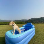 Tanmay Bhat Instagram - Kabhi kabhi aisa lagta hai jaise apun hi canine hai . . . . Fun 2 days at @shivompavna - if you want to feel like canine in our chocho bathtub - use code tanmay10 at checkout for a sweet surprise. Thanks @vistarooms 😘