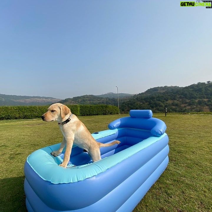 Tanmay Bhat Instagram - Kabhi kabhi aisa lagta hai jaise apun hi canine hai . . . . Fun 2 days at @shivompavna - if you want to feel like canine in our chocho bathtub - use code tanmay10 at checkout for a sweet surprise. Thanks @vistarooms 😘