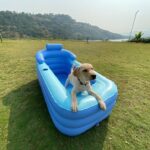 Tanmay Bhat Instagram - Kabhi kabhi aisa lagta hai jaise apun hi canine hai . . . . Fun 2 days at @shivompavna - if you want to feel like canine in our chocho bathtub - use code tanmay10 at checkout for a sweet surprise. Thanks @vistarooms 😘