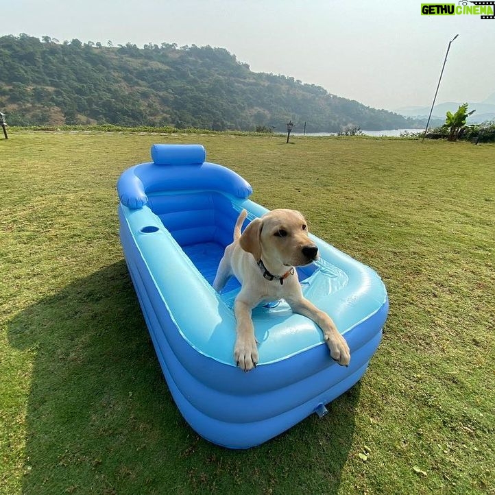 Tanmay Bhat Instagram - Kabhi kabhi aisa lagta hai jaise apun hi canine hai . . . . Fun 2 days at @shivompavna - if you want to feel like canine in our chocho bathtub - use code tanmay10 at checkout for a sweet surprise. Thanks @vistarooms 😘