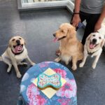 Tanmay Bhat Instagram - Dog birthday party > human birthday party
