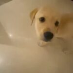 Tanmay Bhat Instagram - The last sentence in this video is my life mantra