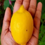 Tanmay Bhat Instagram – hello @instagram pls ban this filter