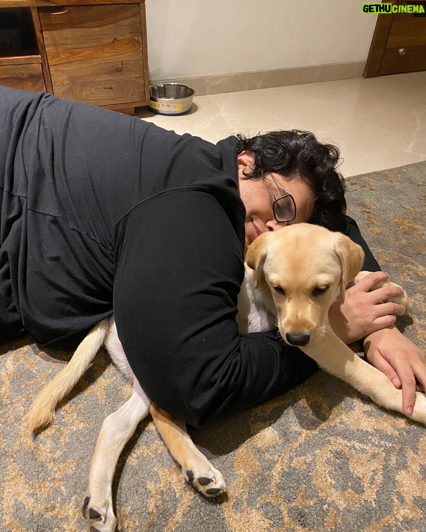 Tanmay Bhat Instagram - really enjoying my new pillow it barks and stuff