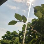 Tannaz Tabatabaei Instagram - امروز☀️🌱 ٩٩/١/٣١