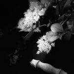 Tannaz Tabatabaei Instagram - . 📸 زندگی یک رویا است که تو امروز به آن می نگری... . عکس ها:خودم #سهراب_سپهری #خانه_بند #photography #tanaztabatabaei