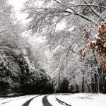 Tanner Buchanan Instagram - I don’t understand this #atlanta snow.
