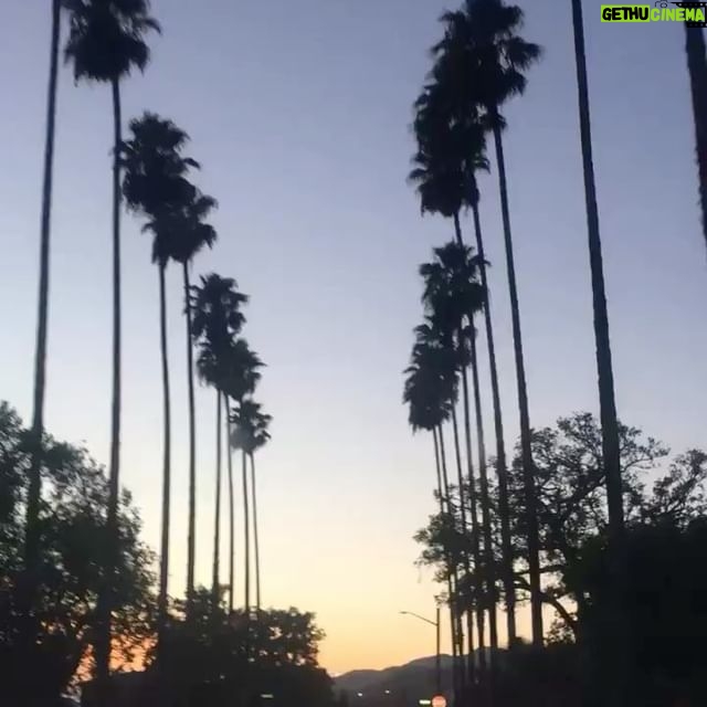 Tanner Buchanan Instagram - "Burbank Hills that's where I wanna beeee" @lizzebroadway
