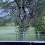 Tanushree Chakraborty Instagram - Todays Weather be like… @subhasreechakraborty #weather #Terrace #thunder #storm #goodmood #Enjoy #enjoyweather