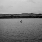 Tanya Reynolds Instagram - 🧜‍♂️ #35mm #ilfordhp5 #nikonf3