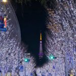 Tao Tsuchiya Instagram - . 2023年のクリスマス、 いかがお過ごしですか？ 東京らしい景色を見つけたので おすそわけを🗼✨️🌟 . あと少しの2023年、 そして もうすぐやってくる2024年からの未来. 少しでも、少しでも少しでも 優しい地球となりますように…！ . Have a wonderful holiday. Hope you are happy and smiling✨✨✨