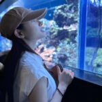 Tao Tsuchiya Instagram - . 東京では昨日 神宮外苑花火大会が行われました🎆✨️✨️ 家族と動画をやり取りしながら観ましたが 綺麗だったなぁ…😊 花火を見上げると夏を実感します🎆 笑顔で空を見上げることが出来る時、 それが昼の空でも夜の空でも どの季節でも 本当にしあわせだなと思います😌✨️ おやすみの人も、お忙しい人も どうか良い夏をお過ごしください🌻 . 一昨日、 #テレビ朝日 系列にてオンエアされた 「 #警部補ダイマジン 」🚨 #七夕夕夏 は少しずつ、でも一気に 大きな渦の中に入っていきますが、 私も同時に 台詞と滑舌との闘いの渦に入っていきました😅 あまりに家でずっとブツブツ言っているので 初回を観た母の第一声が 「天羽 大ってこの人か！」だったほど😂 共演してくださった方々との写真も 許可をいただいたものから載せようと思います💡 . 今日は夏休みシリーズ水族館篇② このぬいぐるみは 姉がプレゼントしてくれました🐬 ほんとに可愛い💕✨️✨️ そして 熱心に観ていると だんだん自分も魚に似てくる気がします🤔🐟️