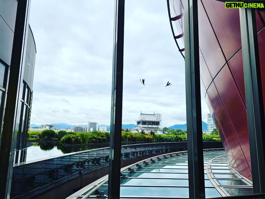 Tao Tsuchiya Instagram - 今年は季節の変わり目に加えて 激しい雨や大きな揺れが多い気がして 少しハラハラしていますが、お元気でしょうか?💦 . 印象派NÉO 『The Miracle of Pinocchio「ピノキオの偉烈」』の 北九州公演から東京に戻って もうすぐ2日が経ちます。 あまりにもあっという間で… 普段はことわざを思い出すこともない私だけれど 思わず「光陰矢の如し」という言葉を思い出すくらい 時間が早く過ぎています😳🏹 . 北九州、素敵な場所だったなぁ…✨️✨️✨️ 日本の体力というか 底力のようなものを感じる力強さと 繊細で美しい古風な文化、 その間に見える『新しい今』を楽しもうとする情熱、 場所そのものがすごくアートでした🥰✨️ 日本を支えてきた工業地帯であるぶん 空気や水の汚れとも全力で戦ってきて 本当に試行錯誤が繰り返されてきたと思うのですが、 その歴史が今は自信となって 澄んだ空気や豊かな川に溢れている感じがしました🍀 . 写真は家族が撮ったものですけど、 小倉城のお隣にあるJ:COM北九州芸術劇場の雰囲気を 感じていただけたら🏯✨️ . ちなみに今月の25日には 弟が出演する作品 木ノ下歌舞伎『糸井版 摂州合邦辻』が 同じJ:COM北九州芸術劇場で上演されるのですが、 なんと嬉しいことに ポスターがお隣同士で貼られていました😍 . お時間とタイミングが合う方は、25日も是非😊✨️✨️ . #ピノキオの偉烈 #夏木マリ さん #井手茂太 さん #小㞍健太 さん #マメ山田 さん #MariNatsukiTerroir #山﨑麻衣子 さん #小島功義 さん #城俊彦 さん #牟田のどか さん #高橋綾子 さん #岩崎未来 さん #川崎萌々子 さん #国枝昌人 さん
